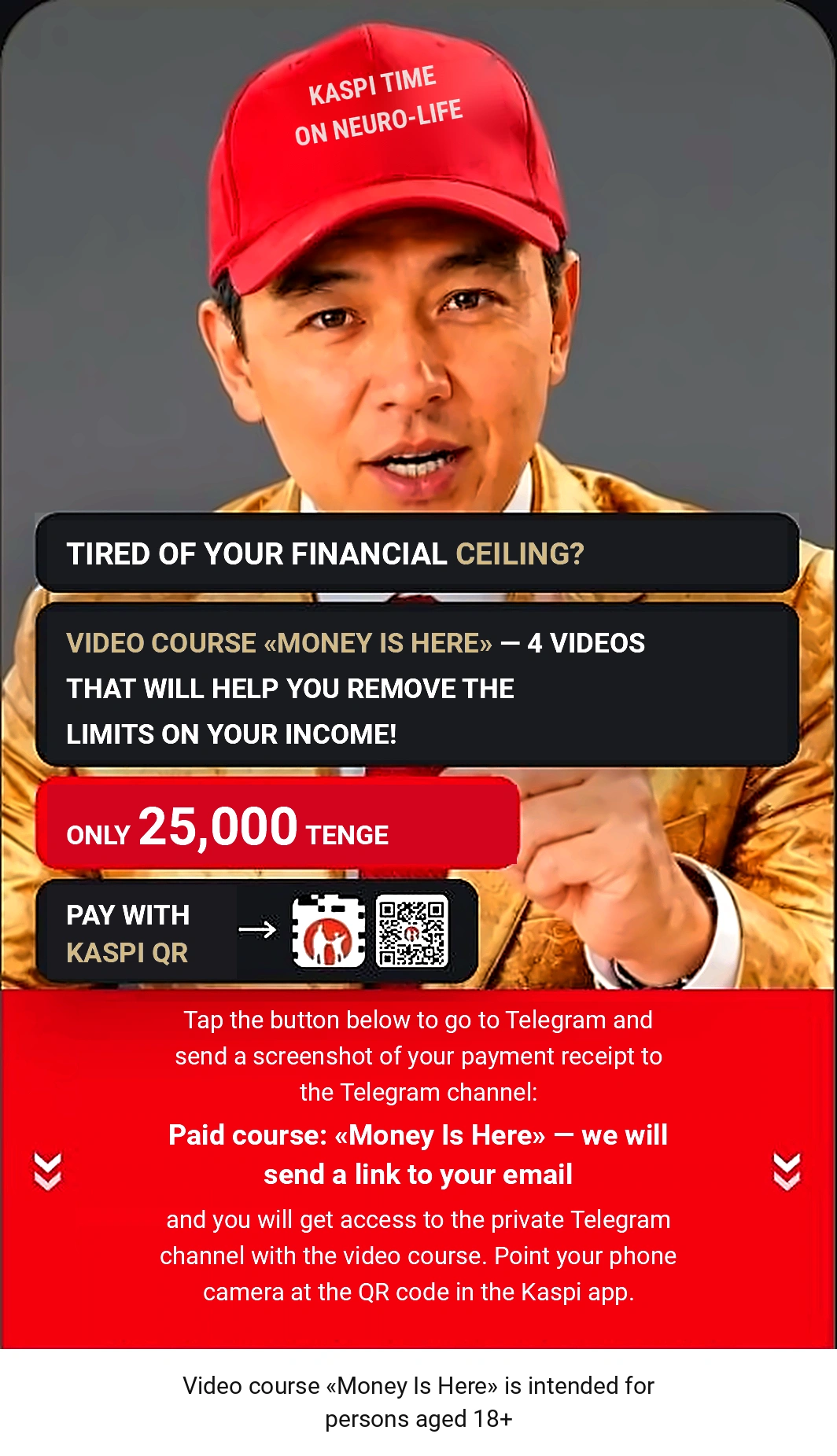 Paid video course